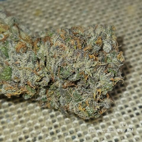 Ethos End Game growlog timeline photo