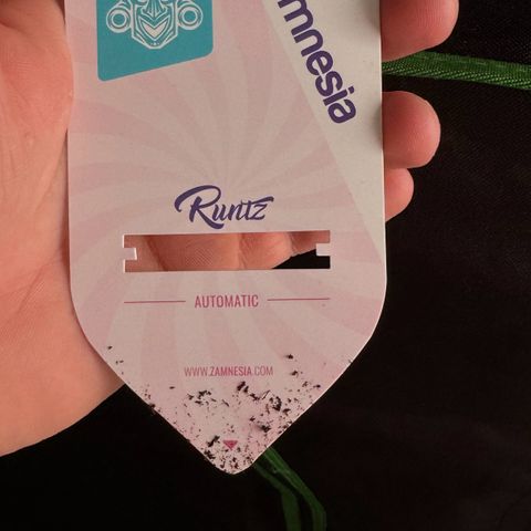 Runtz Auto growlog photo