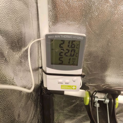 Tribu MacGregor  growlog timeline photo