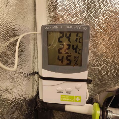 Tribu MacGregor  growlog timeline photo
