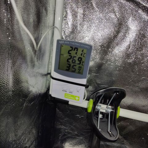 Tribu León Amor  growlog timeline photo
