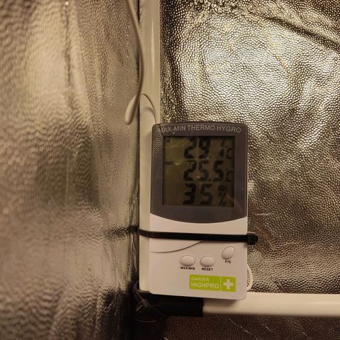 Tribu León Amor  growlog timeline photo