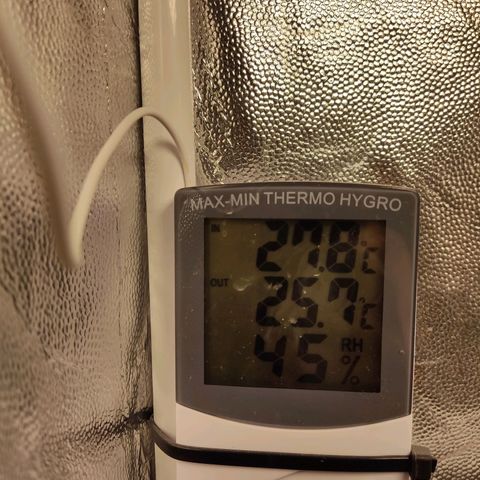 Tribu León Amor  growlog timeline photo