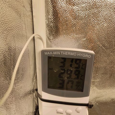 Tribu León Amor  growlog timeline photo
