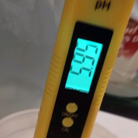 3x Critical Auto growlog timeline photo