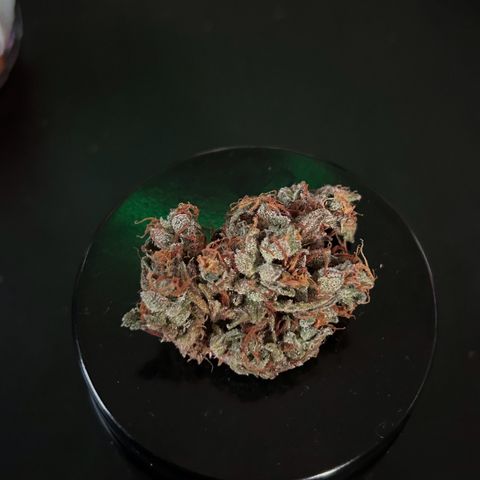Sensi Amnesia XXL Automatic growlog photo: Vor vier Tagen versehentlich ein stk von der Blüte abgeschnitten. 