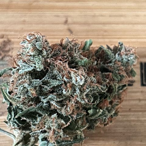 Super Skunk Automatic growlog timeline photo