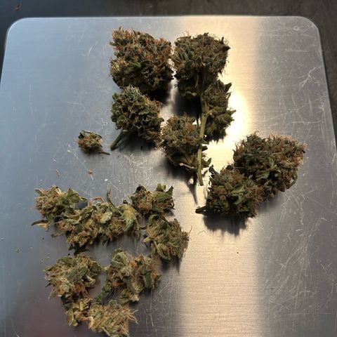 Super Skunk Automatic growlog timeline photo