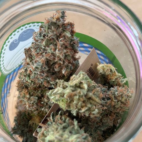 Super Skunk Automatic growlog timeline photo