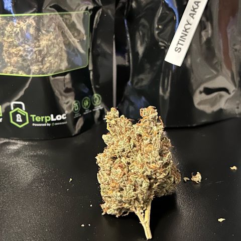 Sensi Amnesia XXL Automatic growlog timeline photo