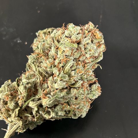 Sensi Amnesia XXL Automatic growlog timeline photo