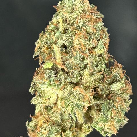 Super Skunk Automatic growlog timeline photo