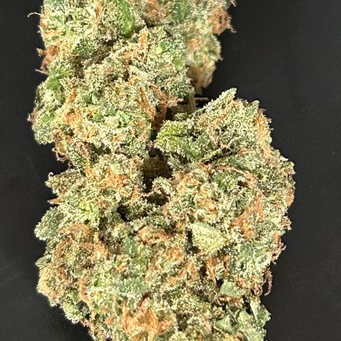 Super Skunk Automatic growlog timeline photo
