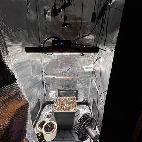 Orion growlog timeline photo