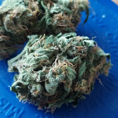RR toinen growlog timeline photo
