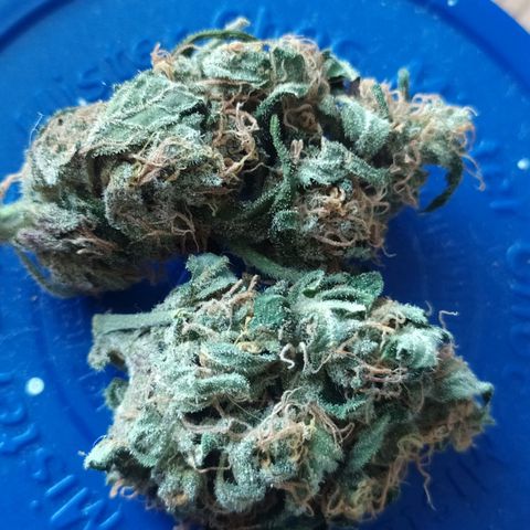 RR toinen growlog timeline photo