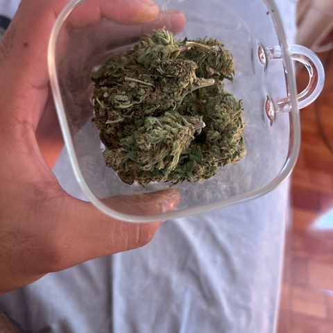 Regulator OG growlog timeline photo