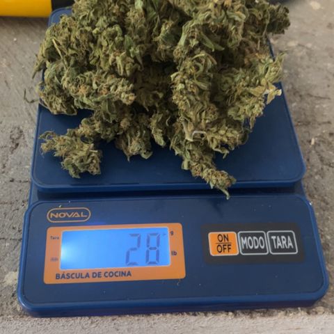 Regulator OG growlog timeline photo