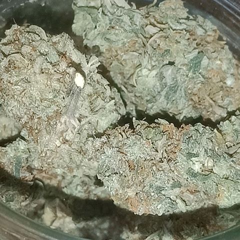 Grandaddy Purple Auto 2 growlog photo: Curing and looking and smelling good 🙂