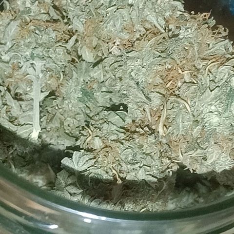 Grandaddy Purple Auto 2 growlog photo: Curing and looking and smelling good 🙂
