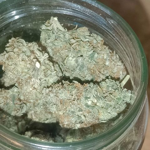 Grandaddy Purple Auto 2 growlog photo: Curing and looking and smelling good 🙂