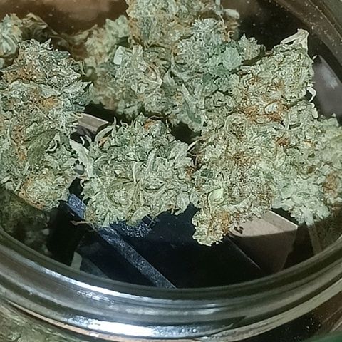 Grandaddy Purple Auto 2 growlog photo: Curing and looking and smelling good 🙂