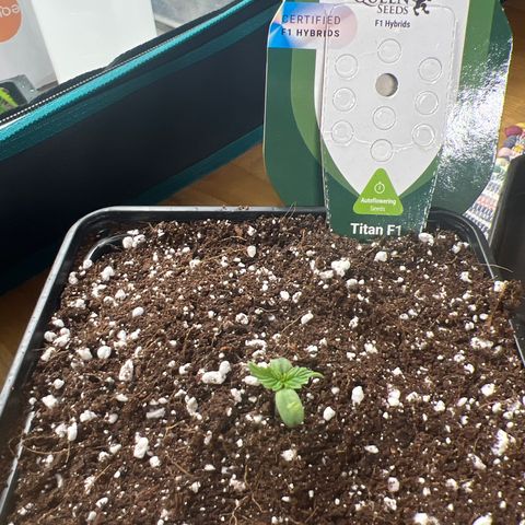 Titan F1 growlog timeline photo