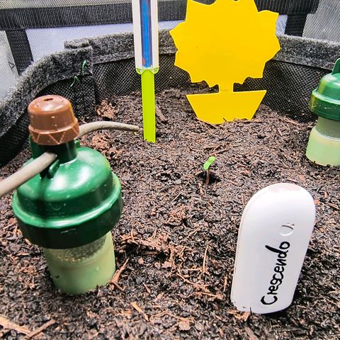 Crescendo 24/2 growlog timeline photo