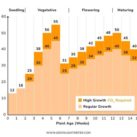 Crescendo 24/2 growlog timeline photo