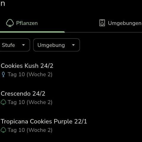 Cookies Kush 24/2 growlog timeline photo