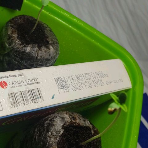 Sephora feminizada    / Lemon Haze growlog timeline photo