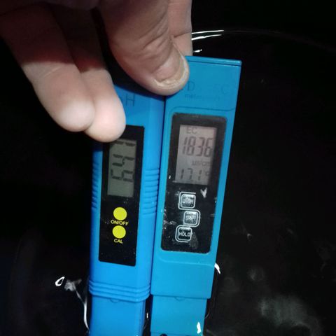 Super lemon red 2 growlog timeline photo