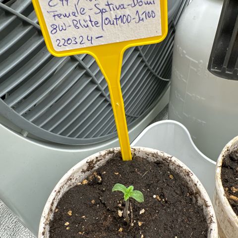 SexBud growlog timeline photo