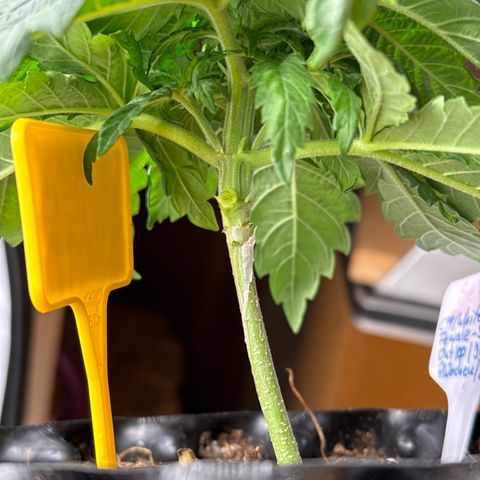 SexBud growlog photo:  Die sechs Bad ist nicht besonders groß und sehr kompakt, schon fast etwas mickrig wirkend.