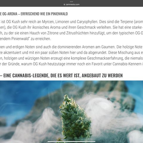 OG Kush growlog photo: Reagiert gut auf Training. 