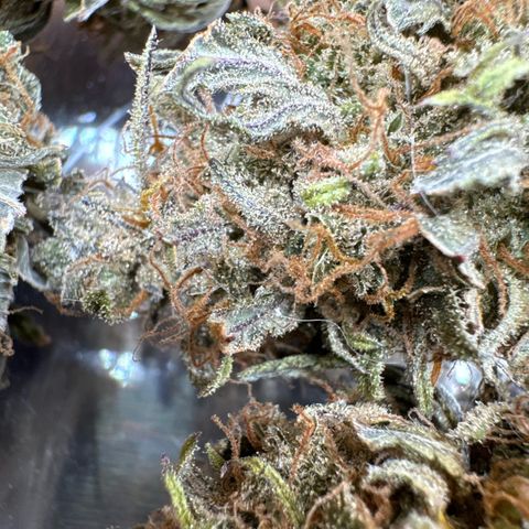 👍 Joey 4 RIP Enharda Rum  growlog timeline photo
