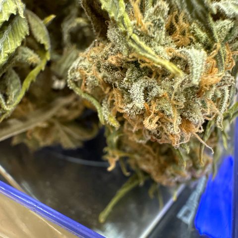 Wedding Cheesecake growlog timeline photo