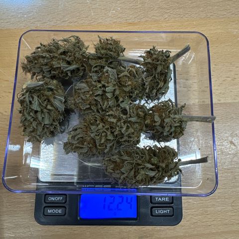 👍 Joey 4 RIP Enharda Rum  growlog photo:  Halb trocken mit dicken Stängeln. Also zwischen 8 und 10 g .