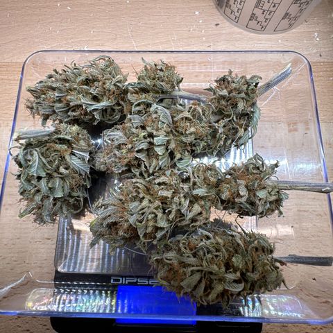 👍 Joey 4 RIP Enharda Rum  growlog timeline photo