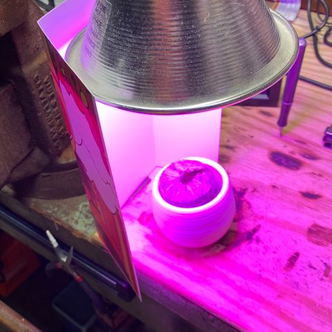 Blue Dream Auto growlog photo: Added baffle on side facing door to avoid drafts.
