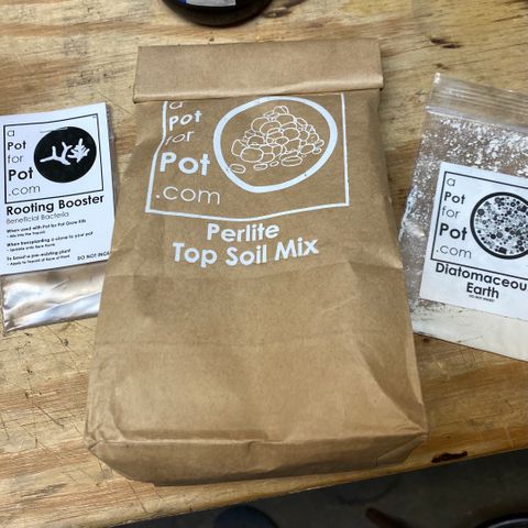 Blue Dream Auto growlog photo: Soil supplements; Perlite, Rooting Booster, Diatomaceous Earth