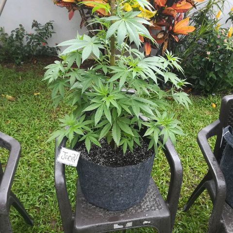 Jacky  growlog timeline photo