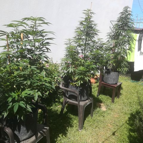 Jacky  growlog timeline photo