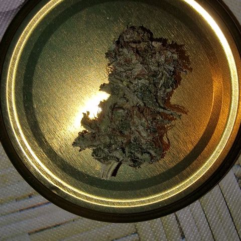 LSD growlog timeline photo