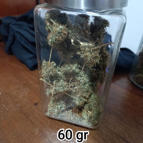 Banana Sherbet Madre growlog timeline photo
