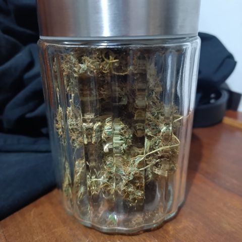 Banana Sherbet Madre growlog timeline photo