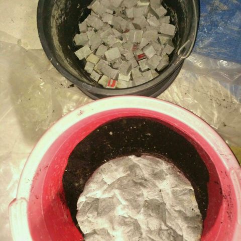 Satori growlog timeline photo