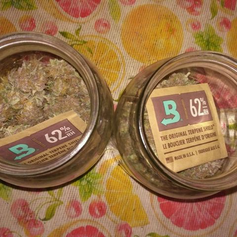 AK 47 Auto growlog timeline photo