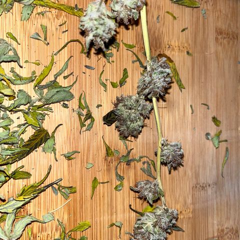 Purple Punch Automatic growlog photo: Trim and dry 