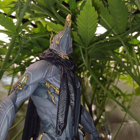 Royal👑 Gorilla🦍 Auto Ema Mae growlog timeline photo